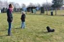 Hundeschule_3