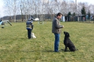 Hundeschule_4