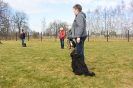 Hundeschule_6