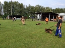 Hundesport_29