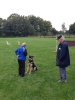 Hundesport_146