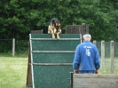 Hundesport_60